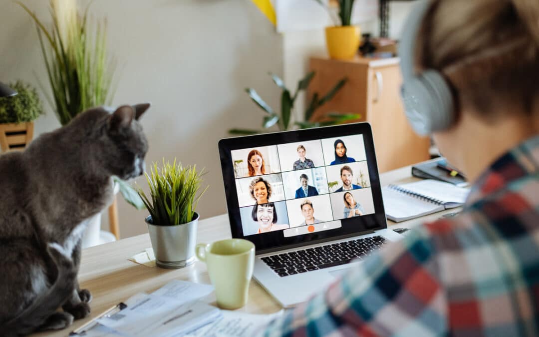 You’re Lacking Professional Client Interactions